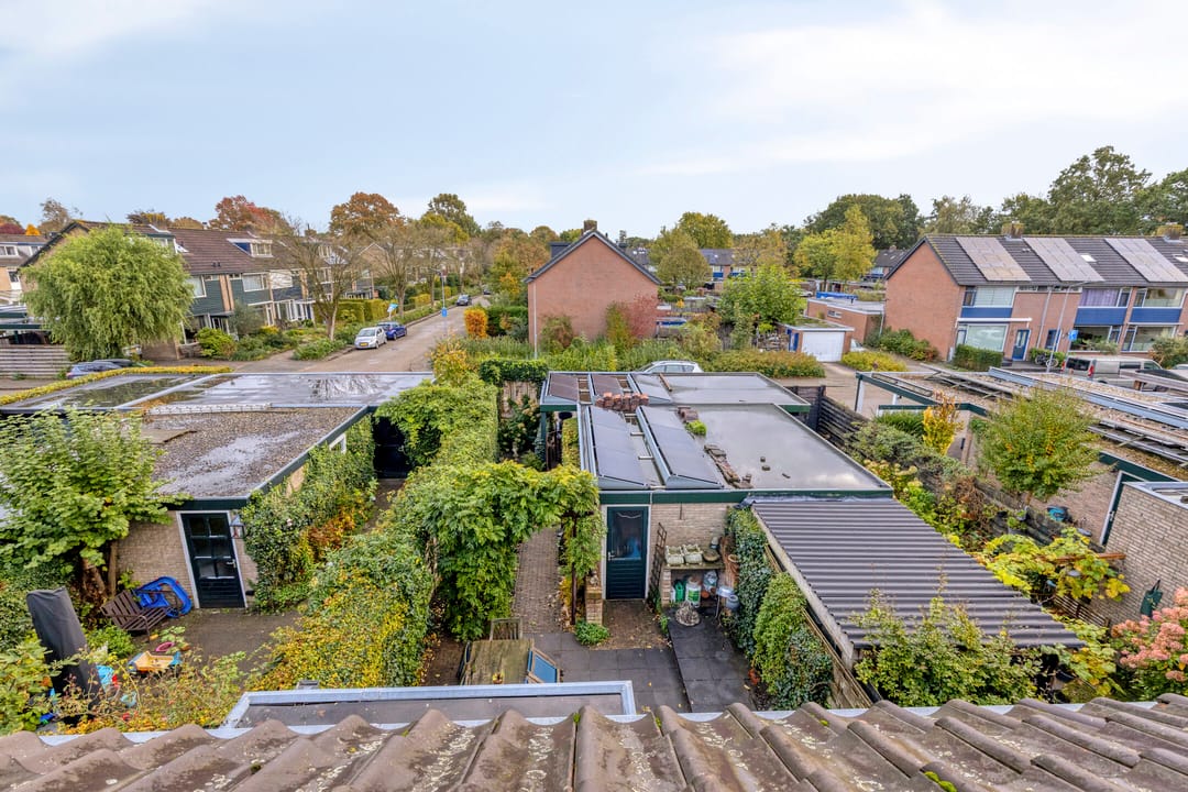 Photo 38 of Ridderspoor 77