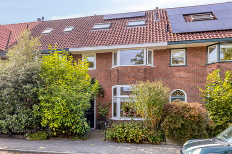 Pelikaanstraat thumbnail
