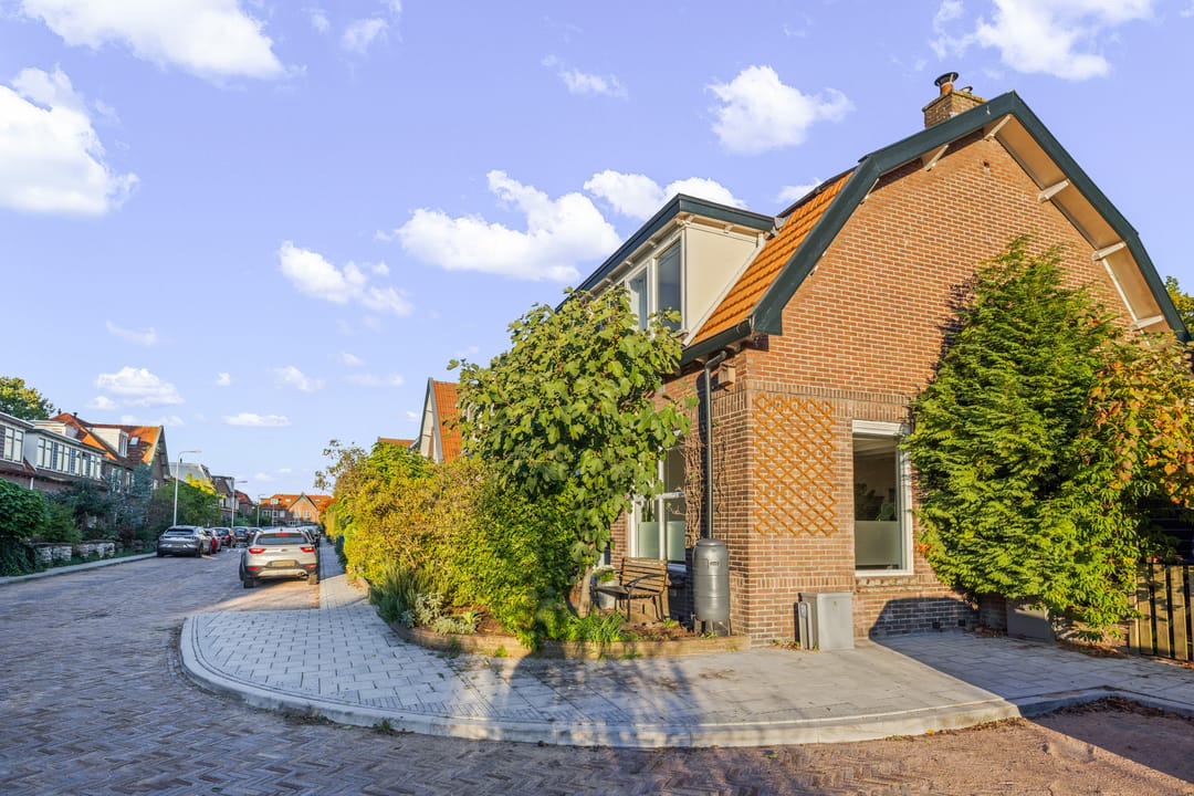 Foto 46 van Palmstraat 249