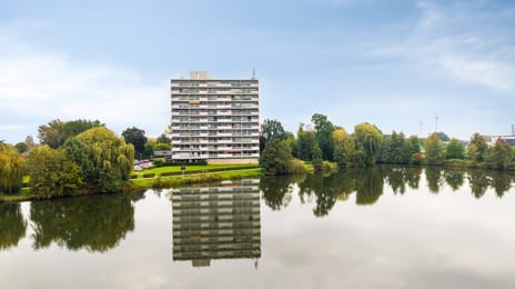 Aalscholversingel thumbnail