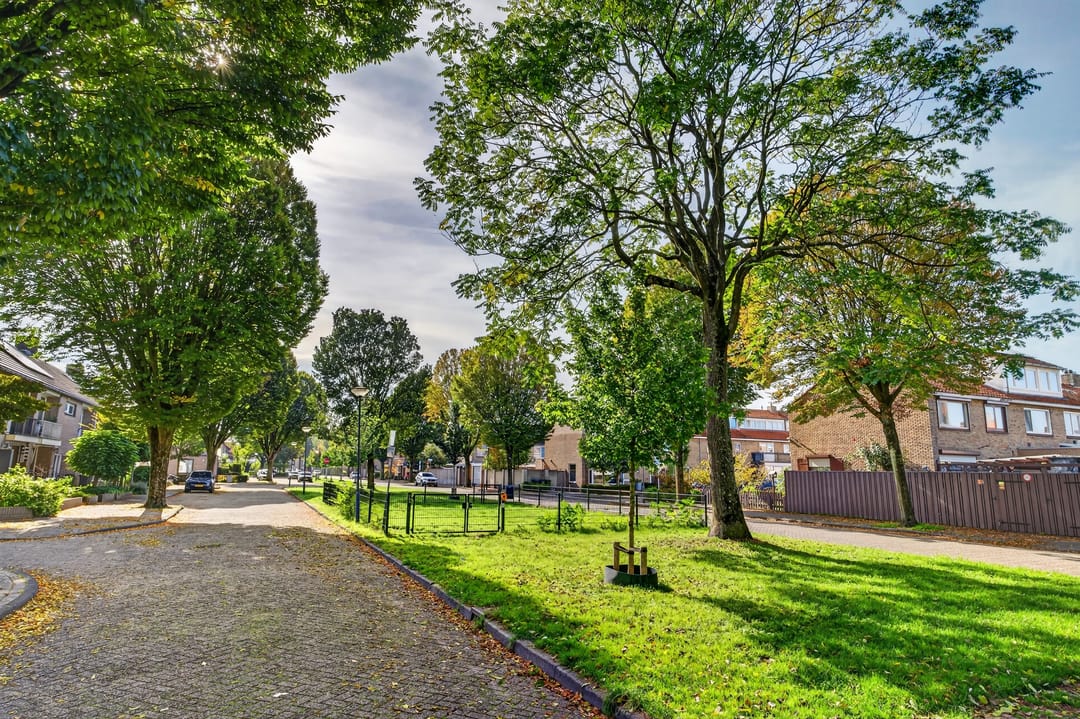 Photo 43 of Felix Timmermansstraat 14