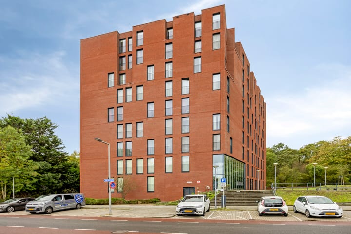 Photo 4 of Wijnruitstraat 381