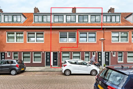 Aurikelstraat thumbnail