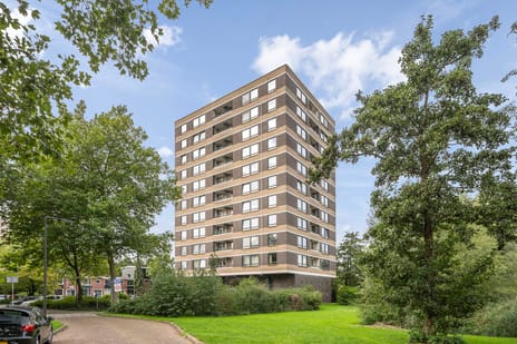 Boerhaavestraat thumbnail