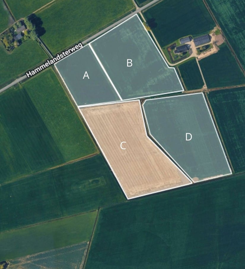 Hammelandsterweg 3 - Rasquert - Afbeelding 2