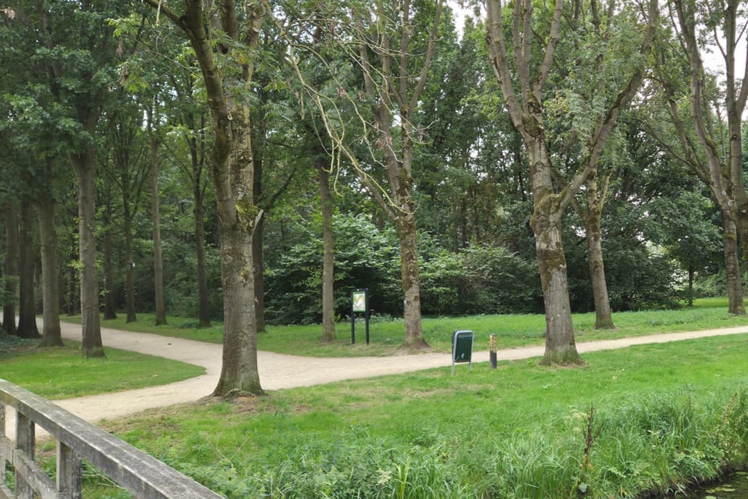 Foto 41 van Zwanenkamp 278