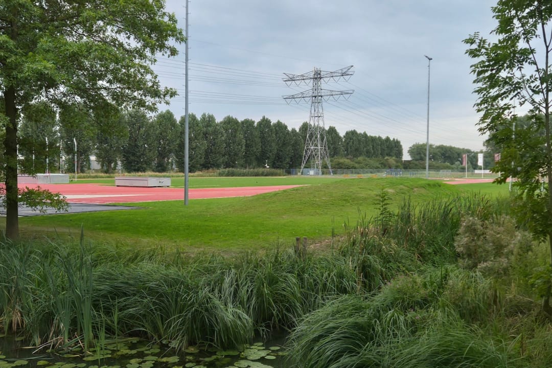 Foto 43 van Zwanenkamp 278