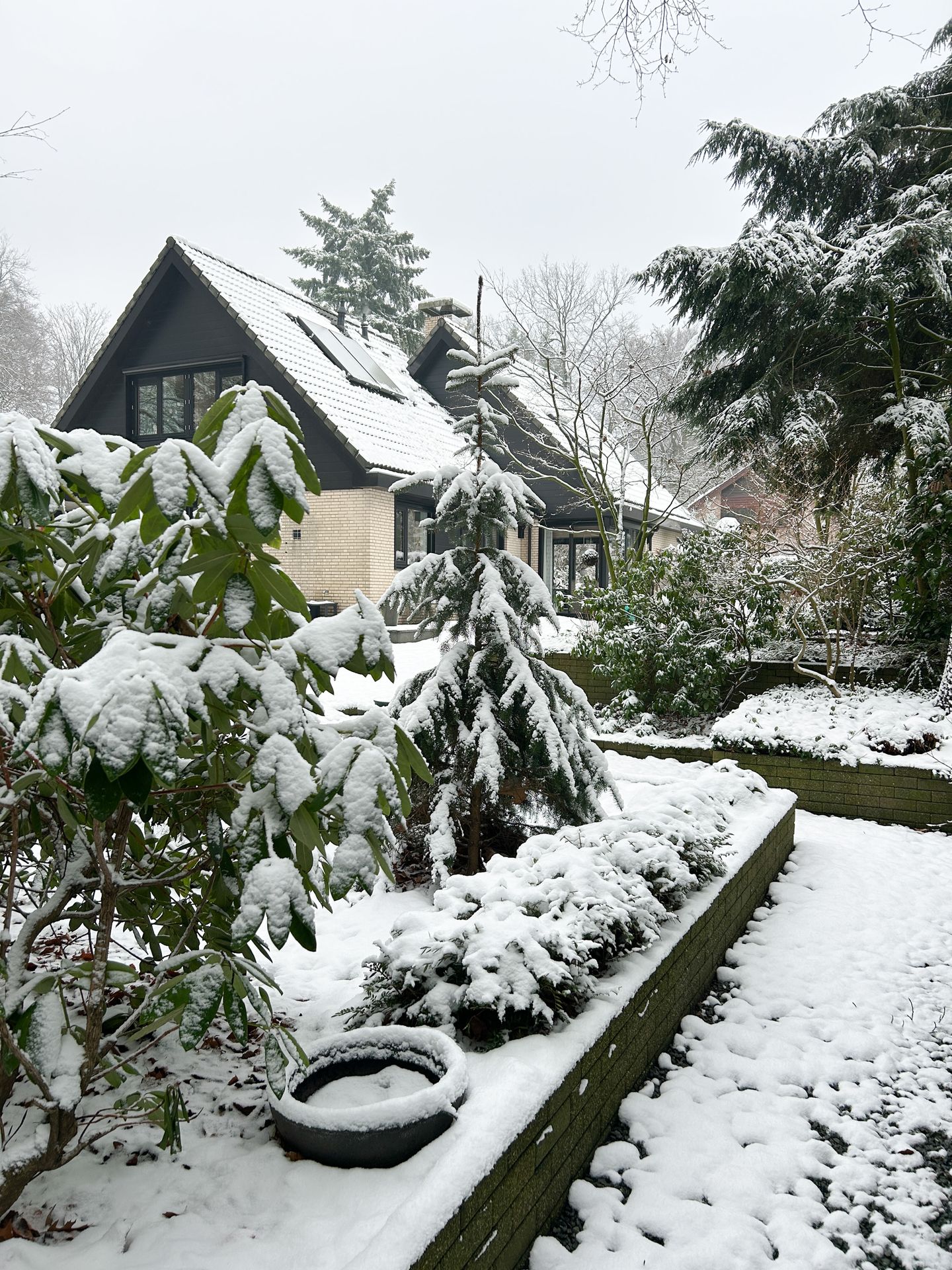 Foto 50 van Dennenlaan 25