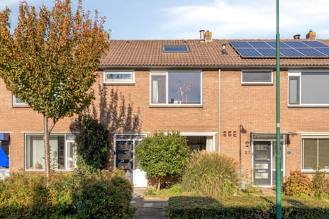 Titus Brandsmastraat thumbnail