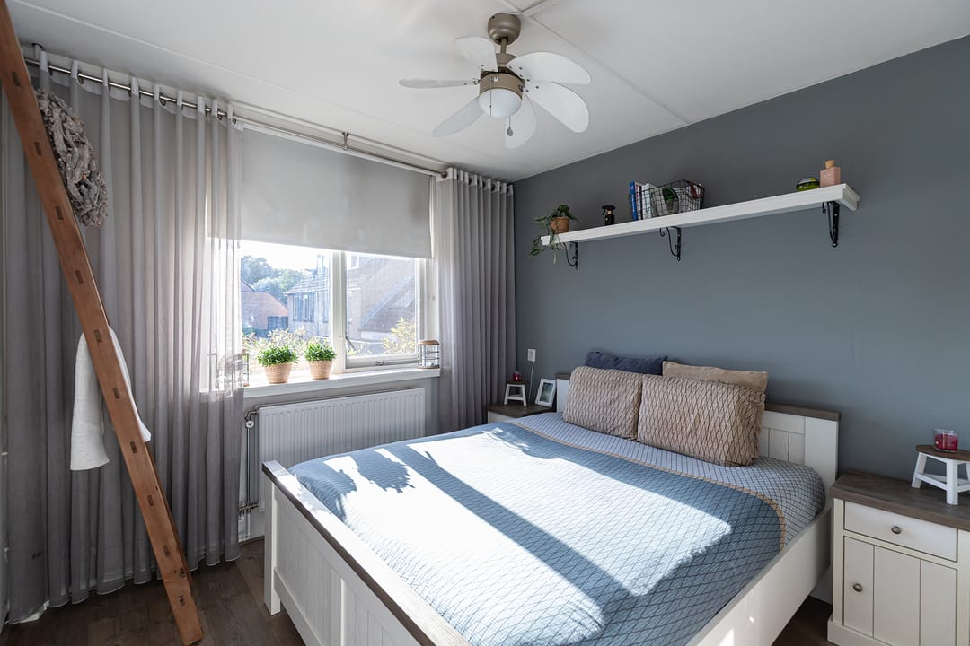 Foto 23 van Salamander 2
