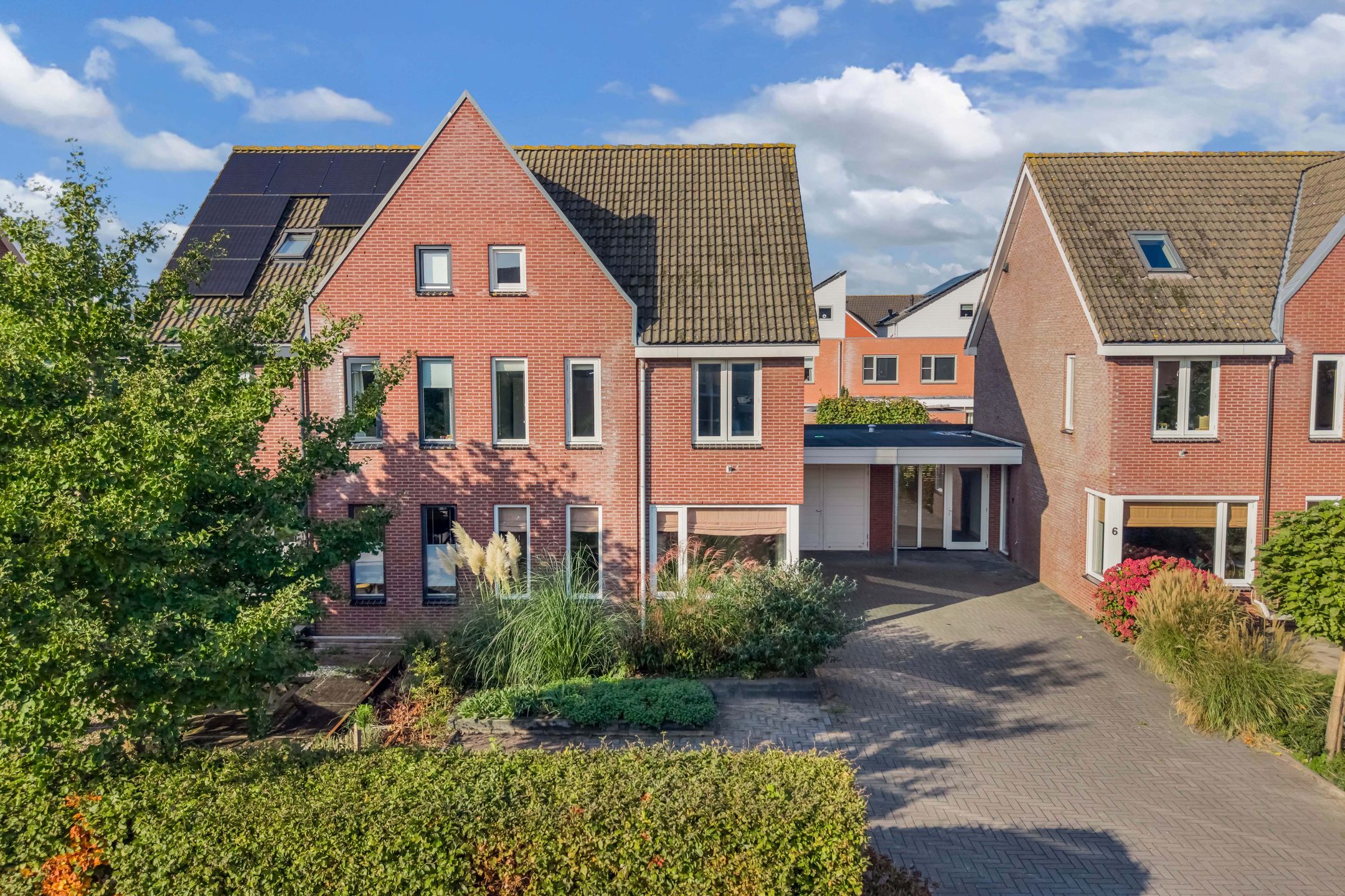 Foto 45 van Kleine vos 8