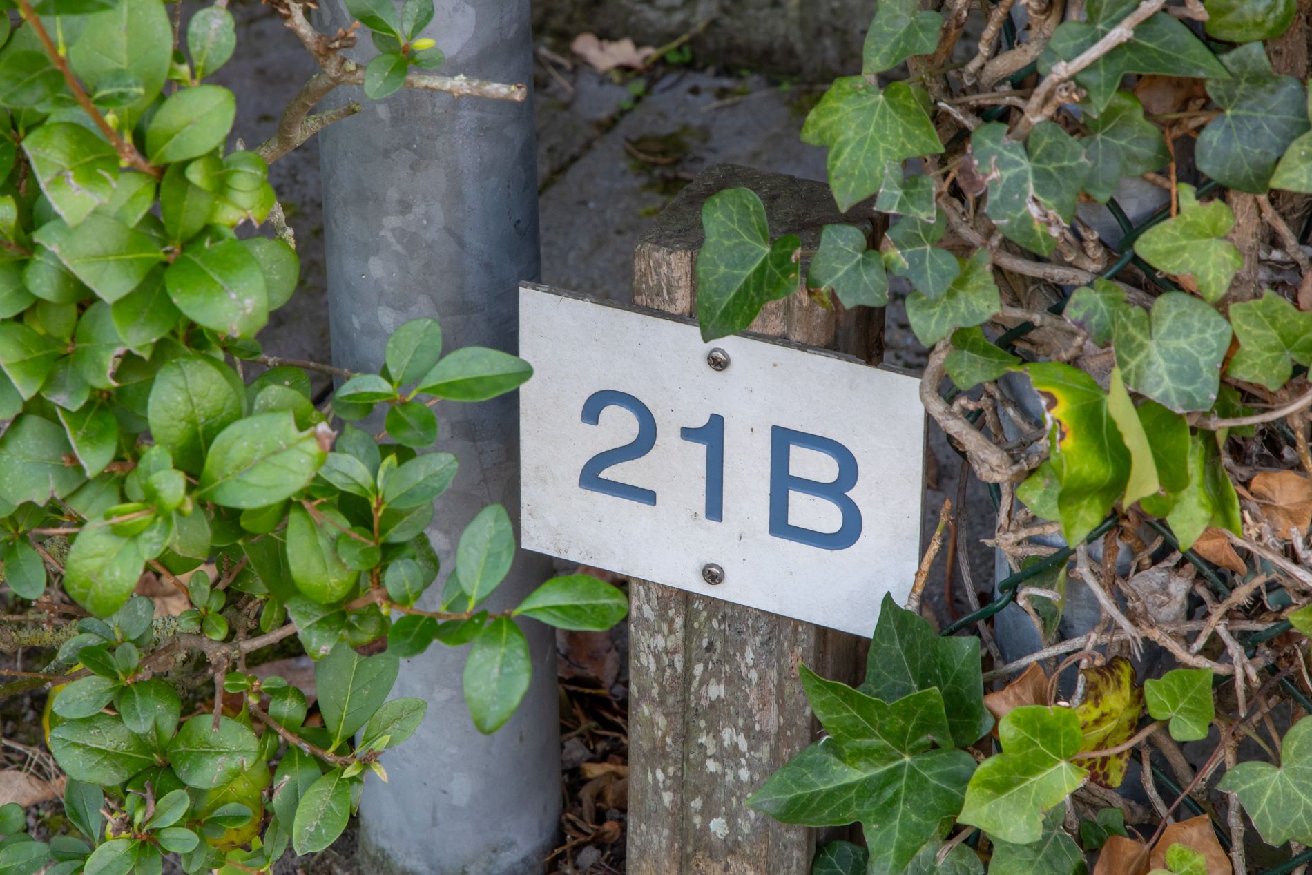 Foto 42 van Drie Turkenlaan 21-B
