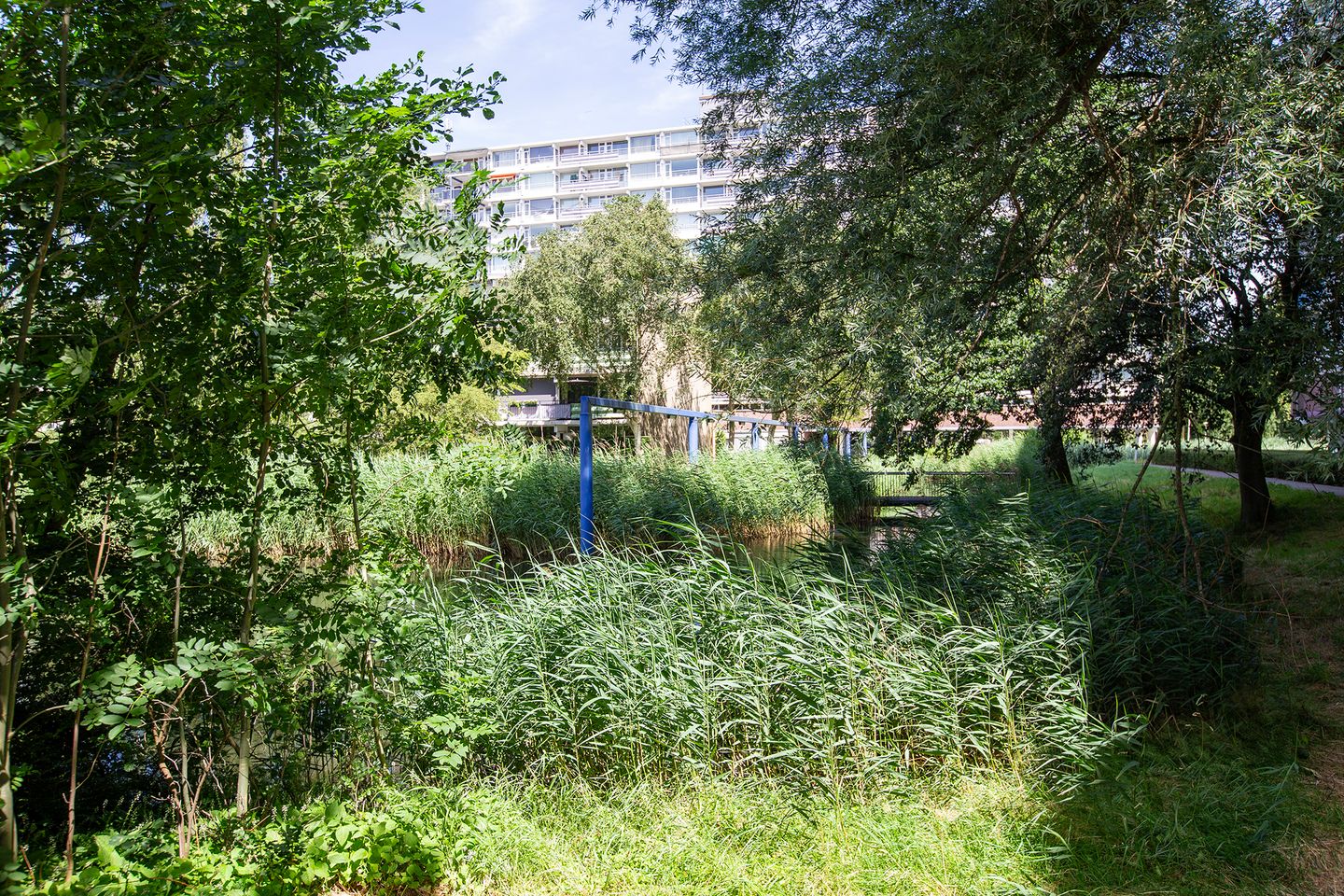 Foto 4 van Vliestroom 42