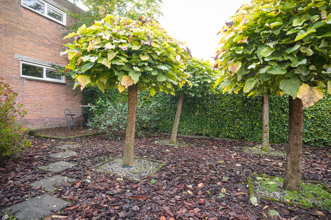 Foto 46 van Kerkstraat 11