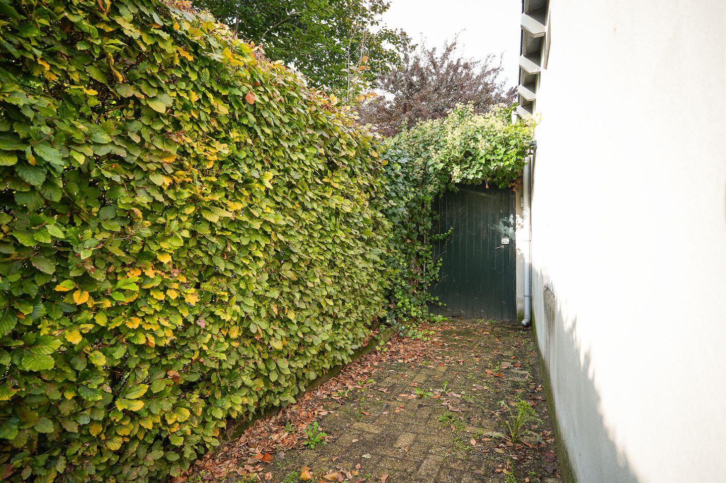 Foto 49 van Kerkstraat 11