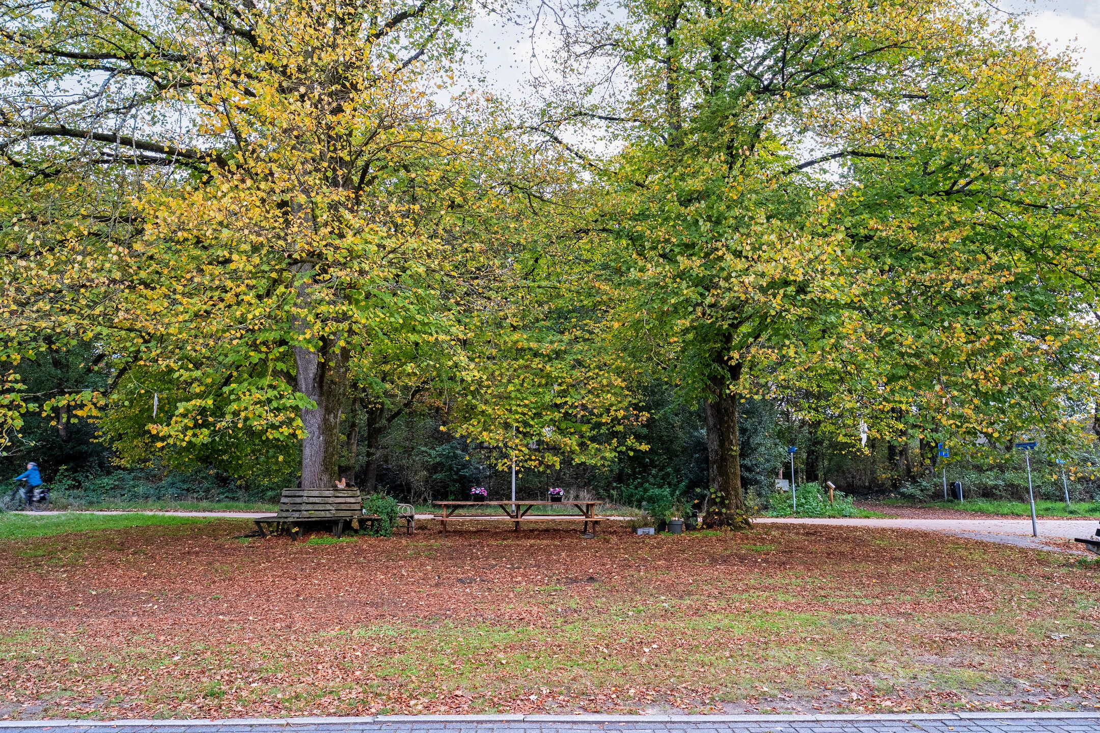 Photo 39 of Hoge Esweg 36