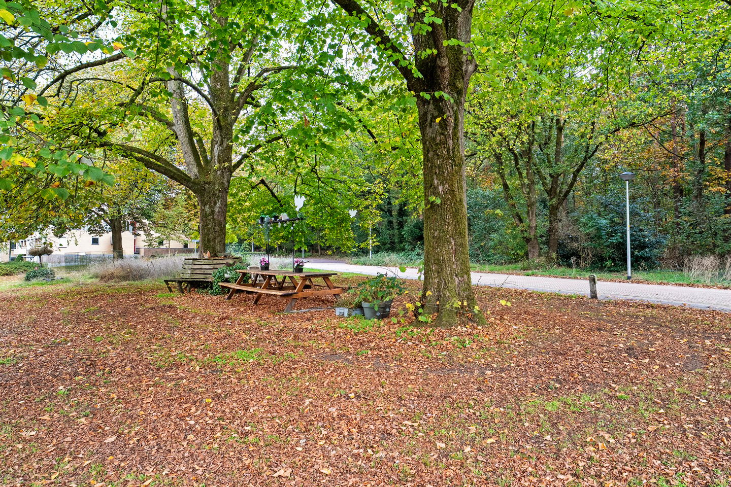 Photo 40 of Hoge Esweg 36