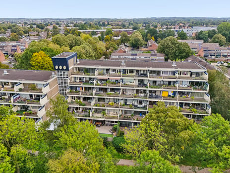 Sint Hubertus thumbnail