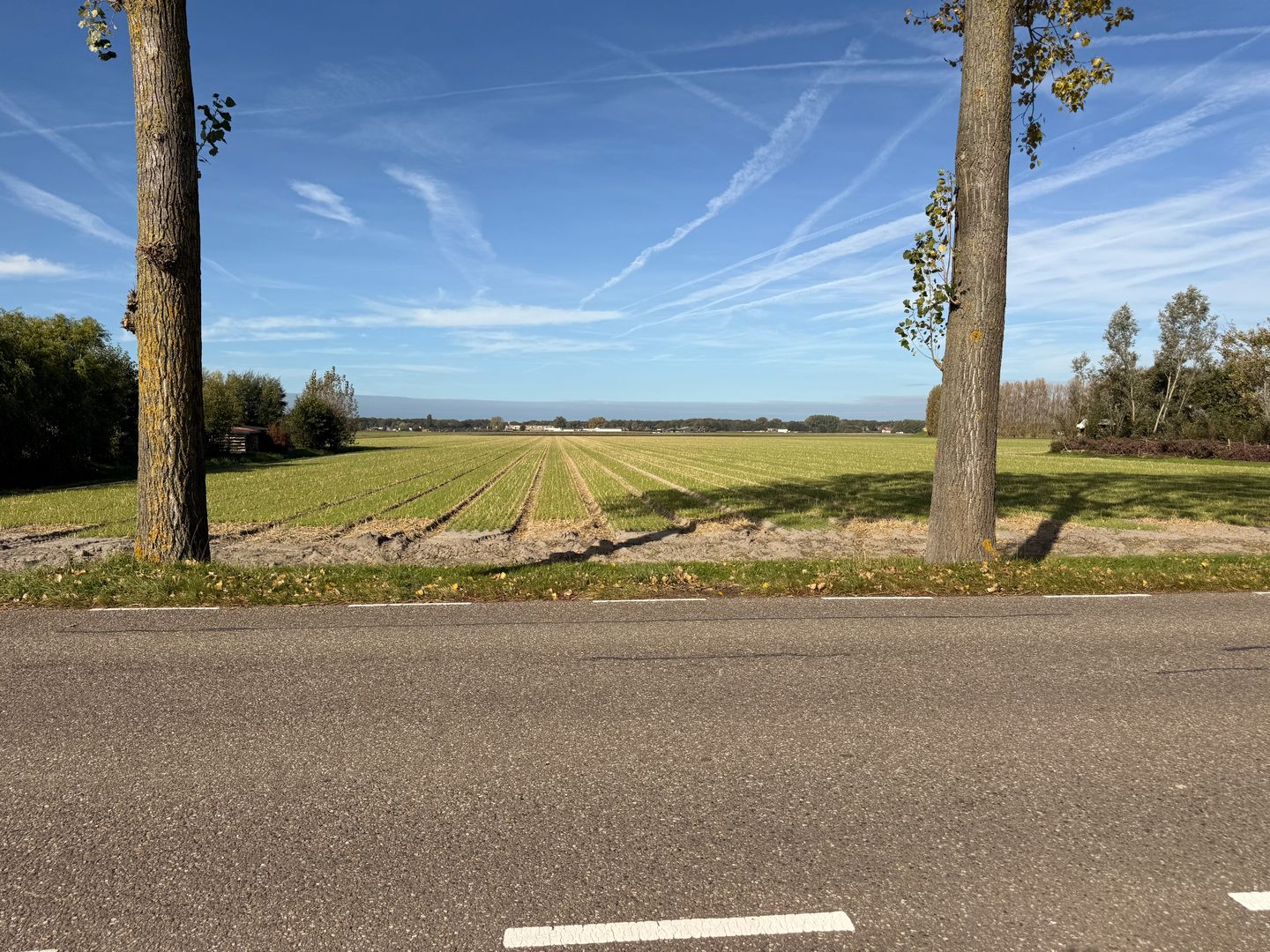 Foto 59 van Spieringweg 974