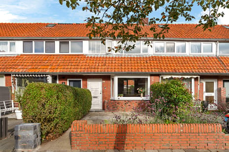 d'Hondecoeterstraat thumbnail