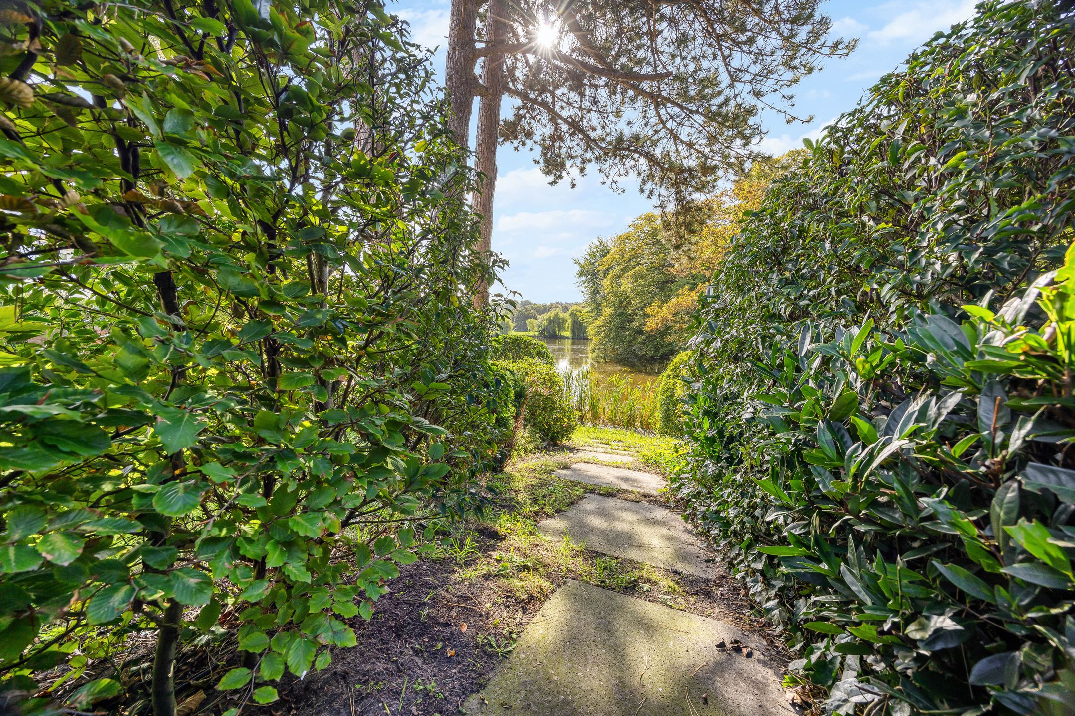 Foto 45 van Nieuwe Parklaan 74-A