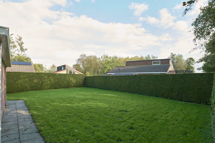 Photo 3 of Bargereed 12