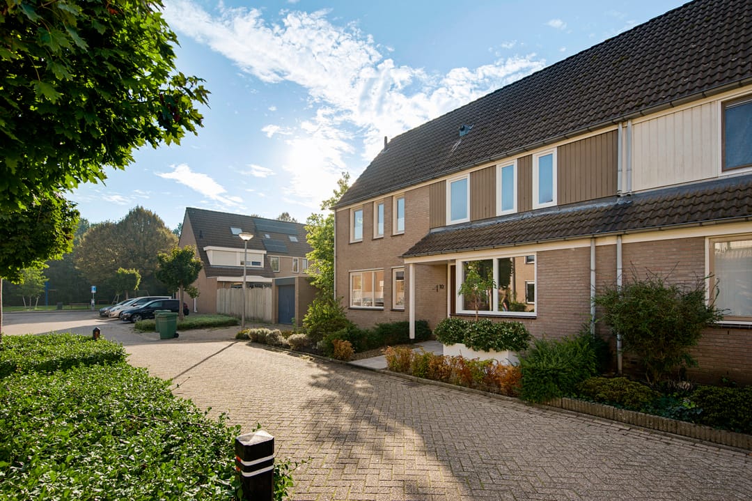 Foto 7 van Houtduif 10