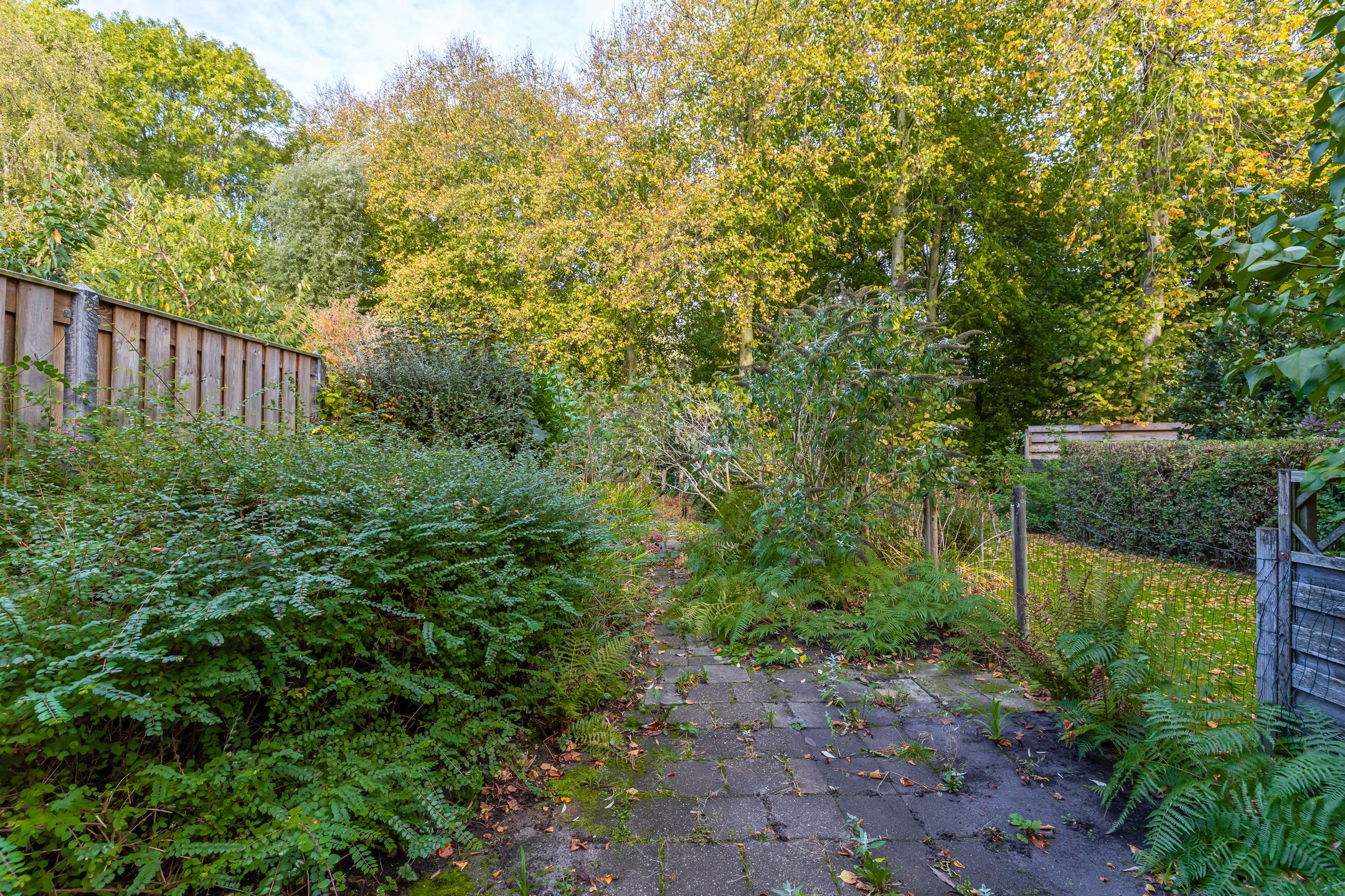 Photo 12 of Kremersheerd 228