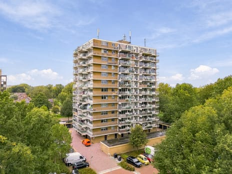 Lupinesingel thumbnail