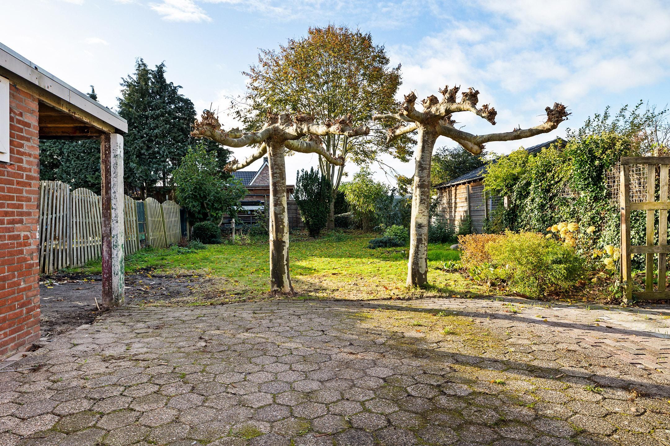 Photo 18 of Ring 14