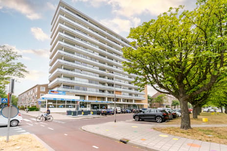 Van Adrichemstraat thumbnail