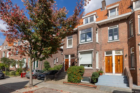 Kerstant van den Bergelaan thumbnail