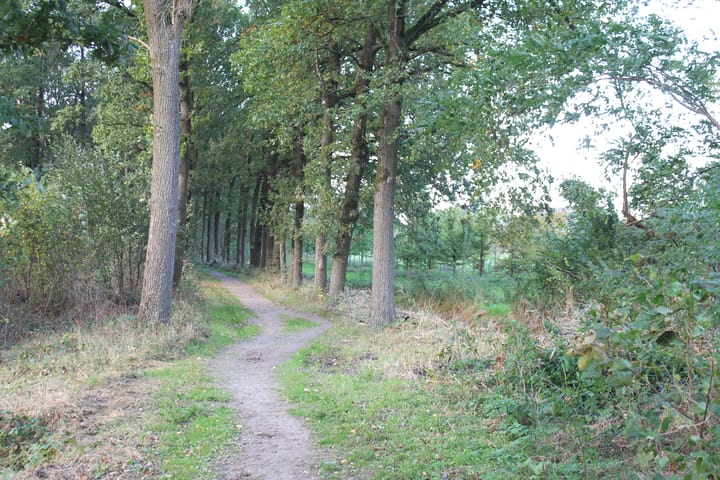 Foto 5 van Weldammerlaan 16-C
