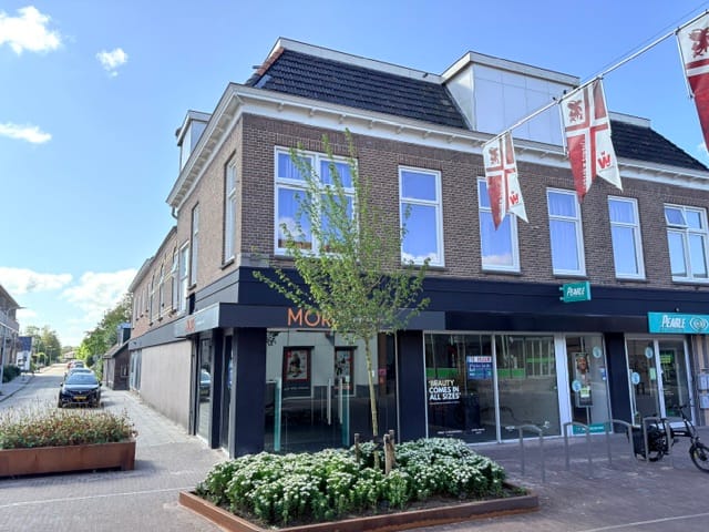 Van Harenstraat 17, Wolvega
