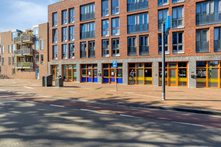 Jan Fabriciusstraat 73-B, Assen