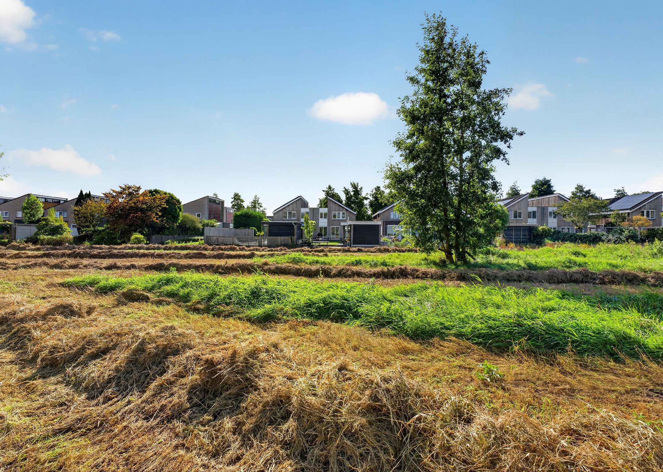 Photo 51 of Roerdomp 2