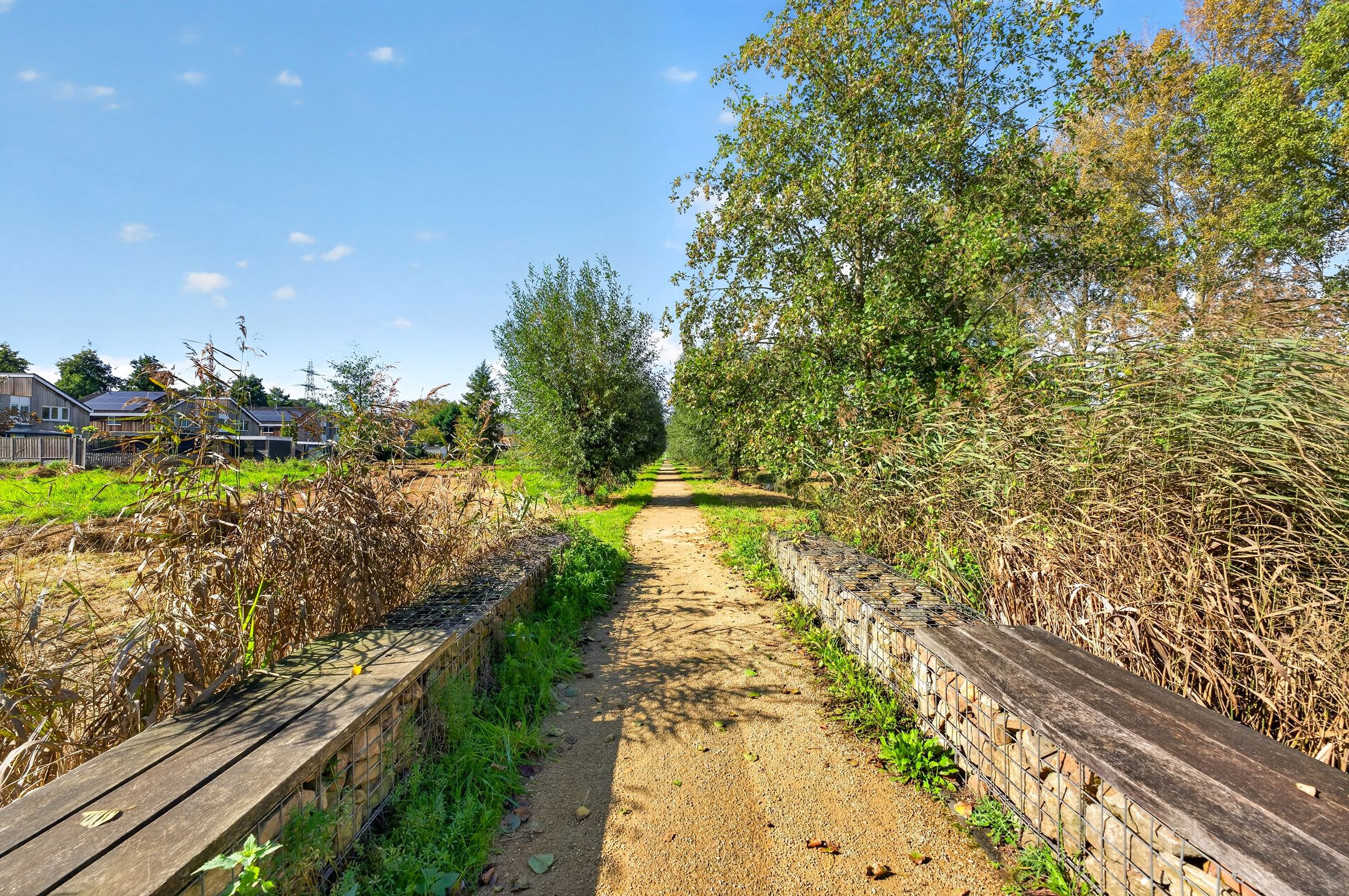 Photo 48 of Roerdomp 2