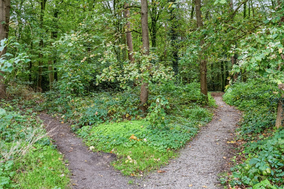 Foto 46 van Patrimoniumweg 6-B