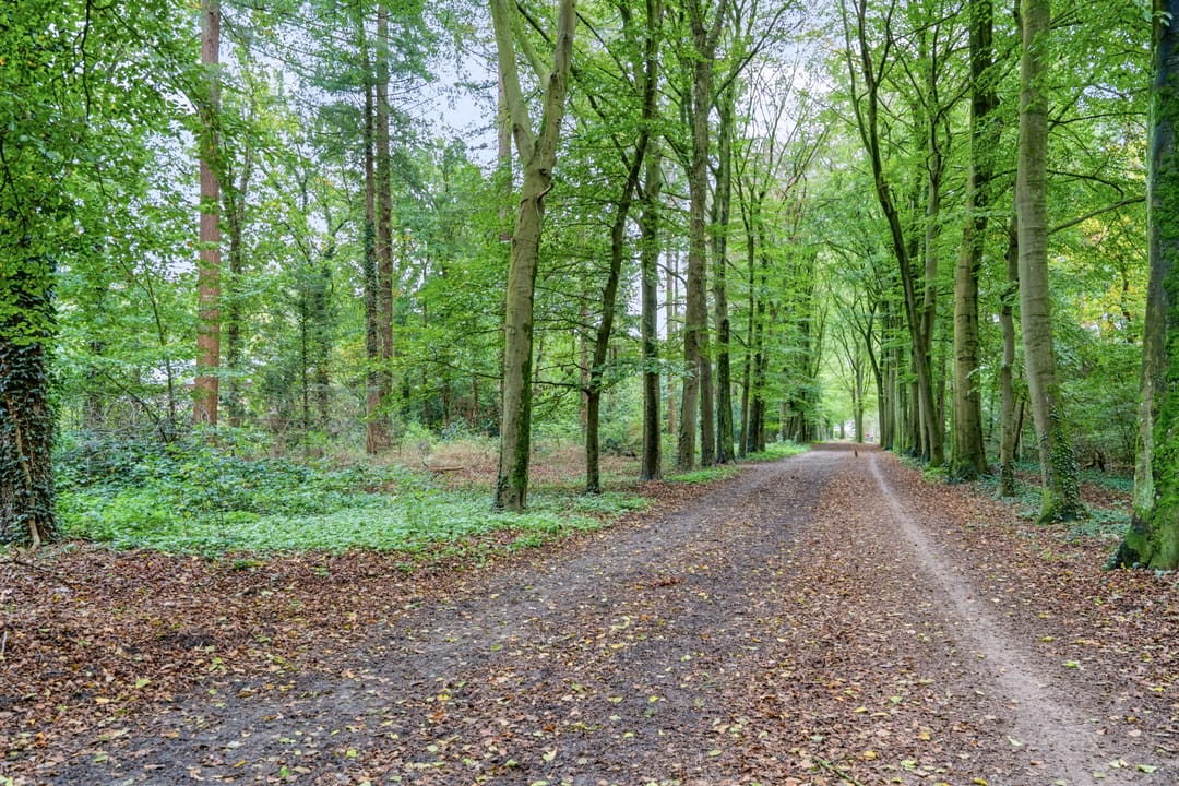 Foto 47 van Patrimoniumweg 6-B