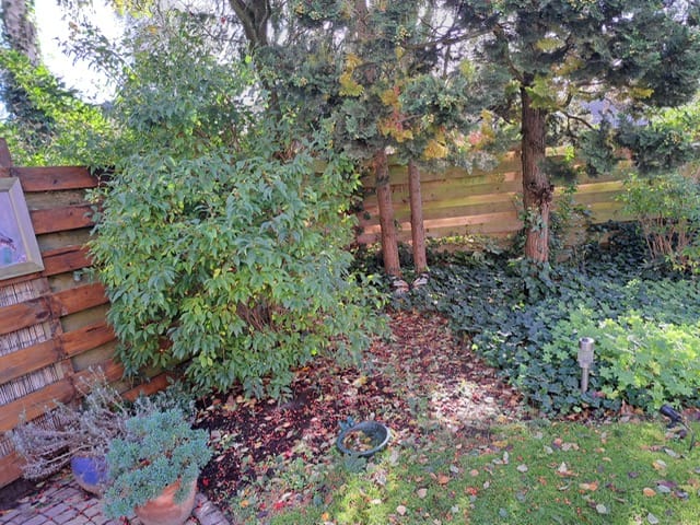 Photo 27 of Carneooldijk 49