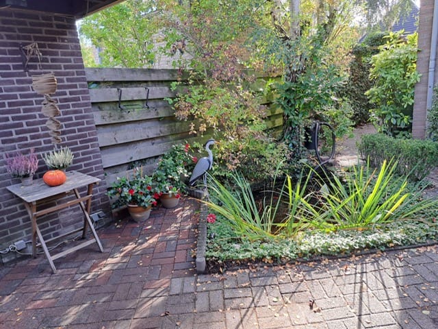 Photo 31 of Carneooldijk 49