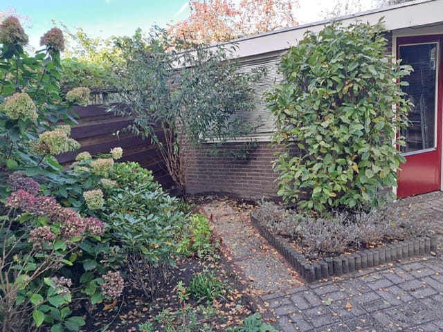 Photo 29 of Carneooldijk 49