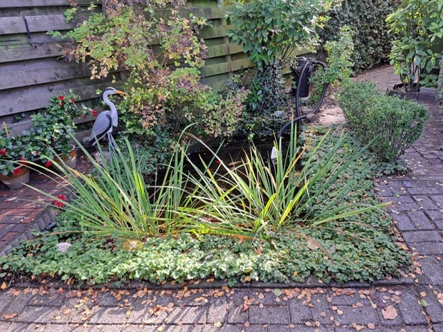 Photo 30 of Carneooldijk 49