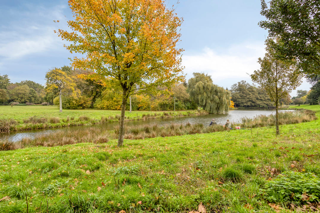Photo 37 of Carneooldijk 49