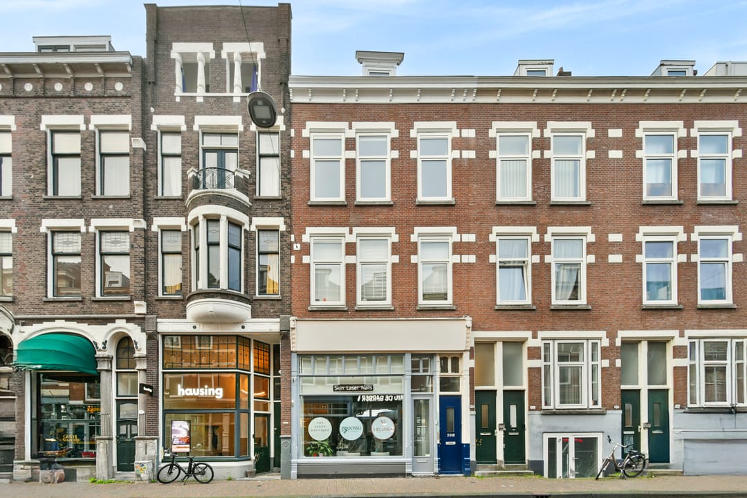 Foto 1 van Zwaanshals 266-B02