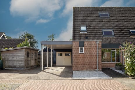Boterbloem thumbnail