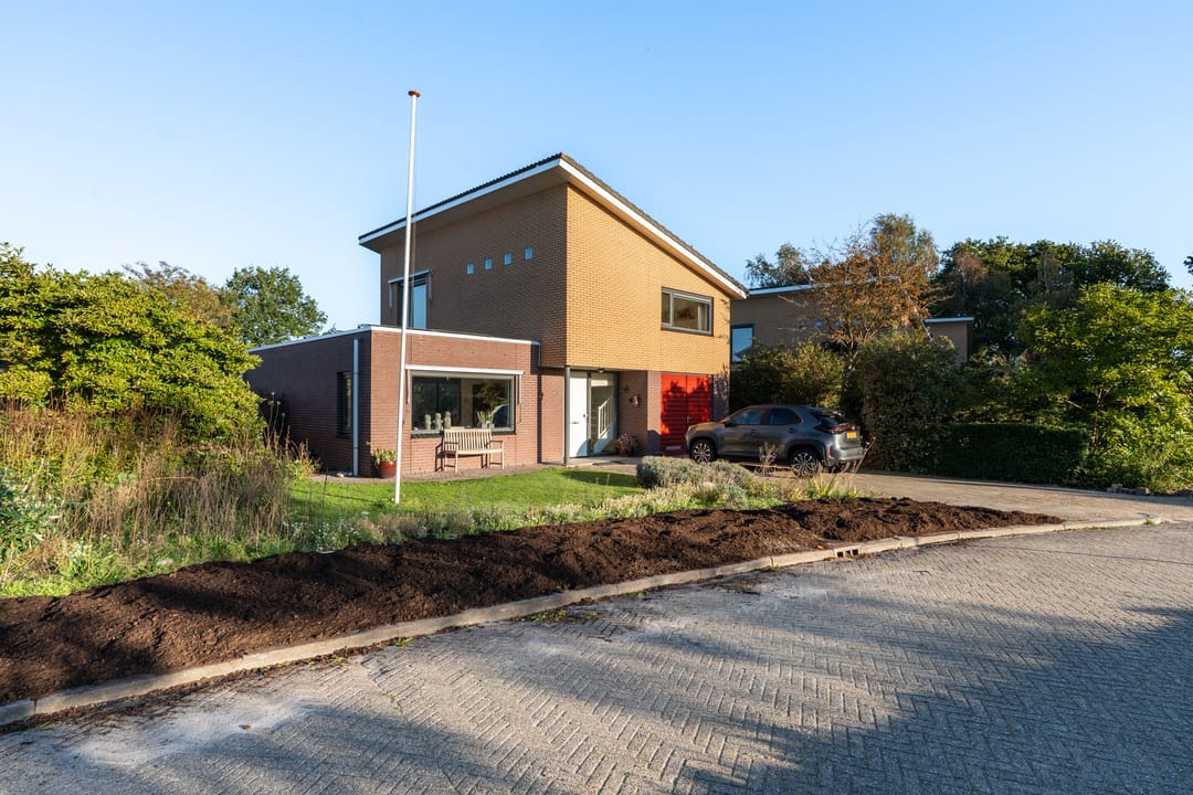 Foto 47 van Waterranonkel 2