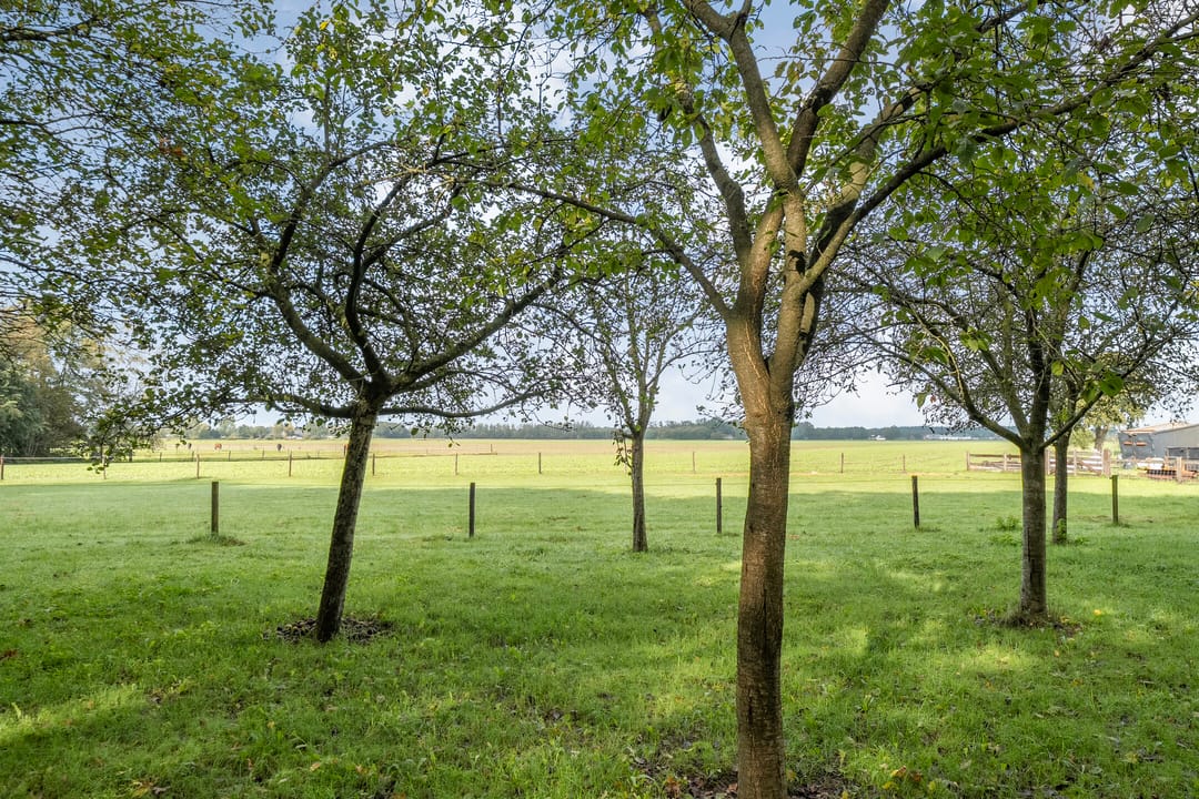 Foto 43 van Slennebroekerweg 10