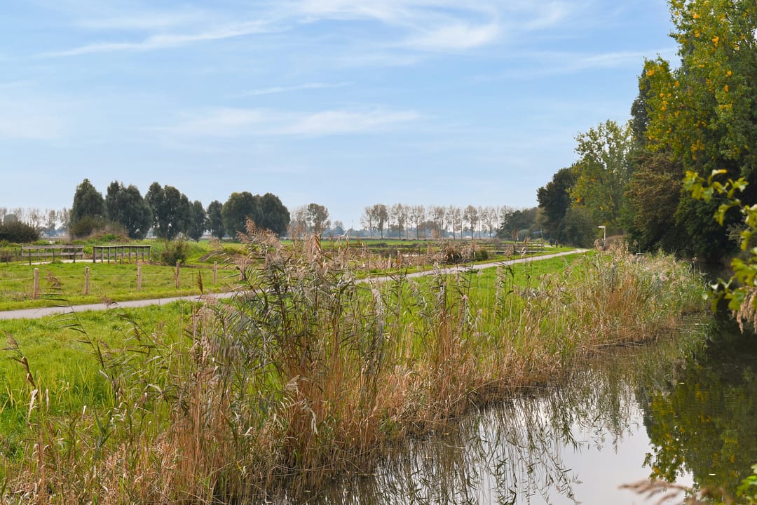 Photo 31 of Turfschip 36