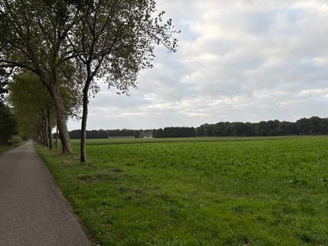 Bekijk foto's
